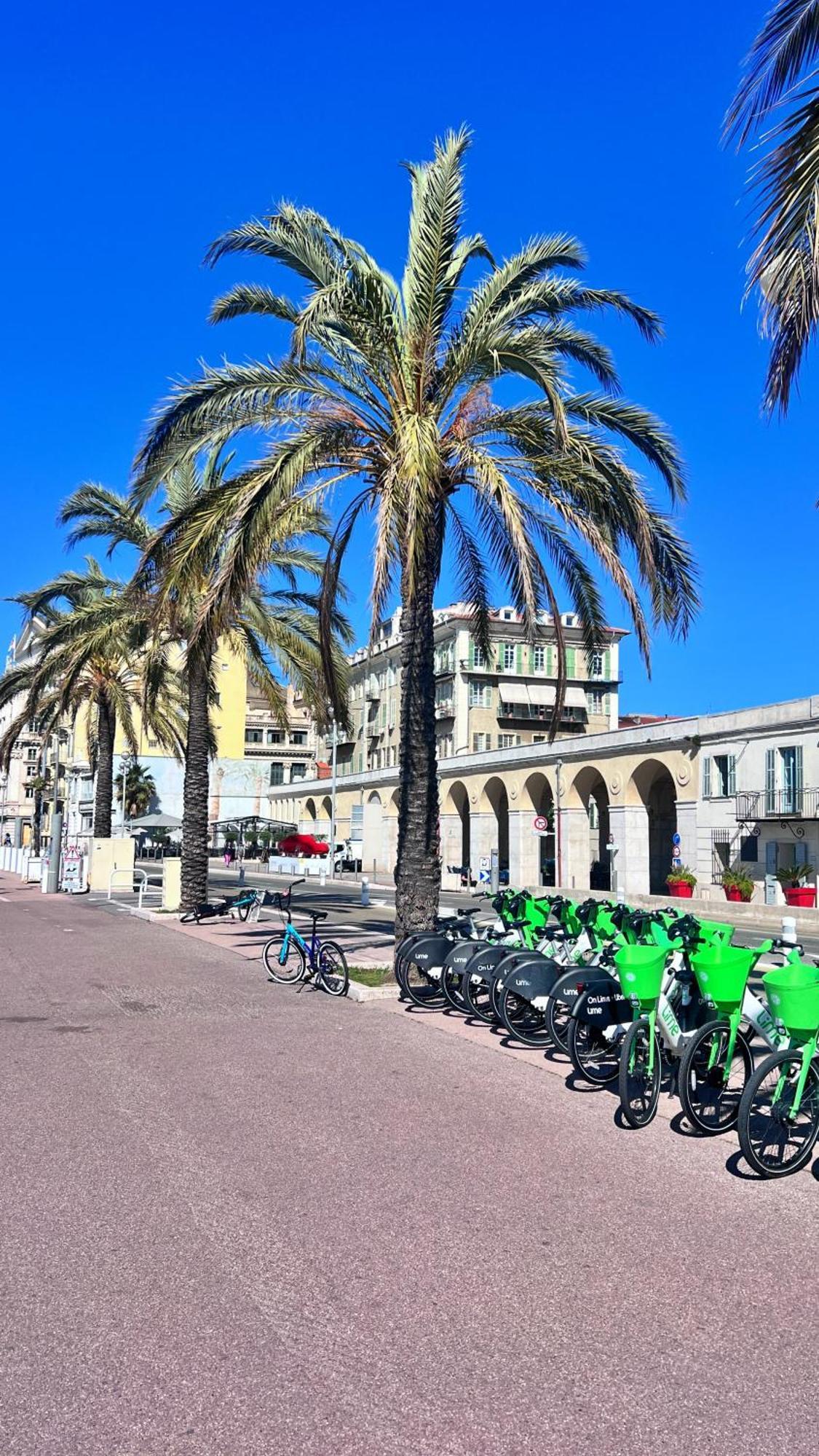 Apartment Au Petit Bourgeois Nizza